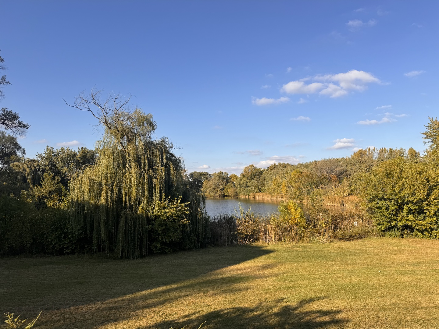 502 Redondo Drive #502, Downers Grove, IL 60516
