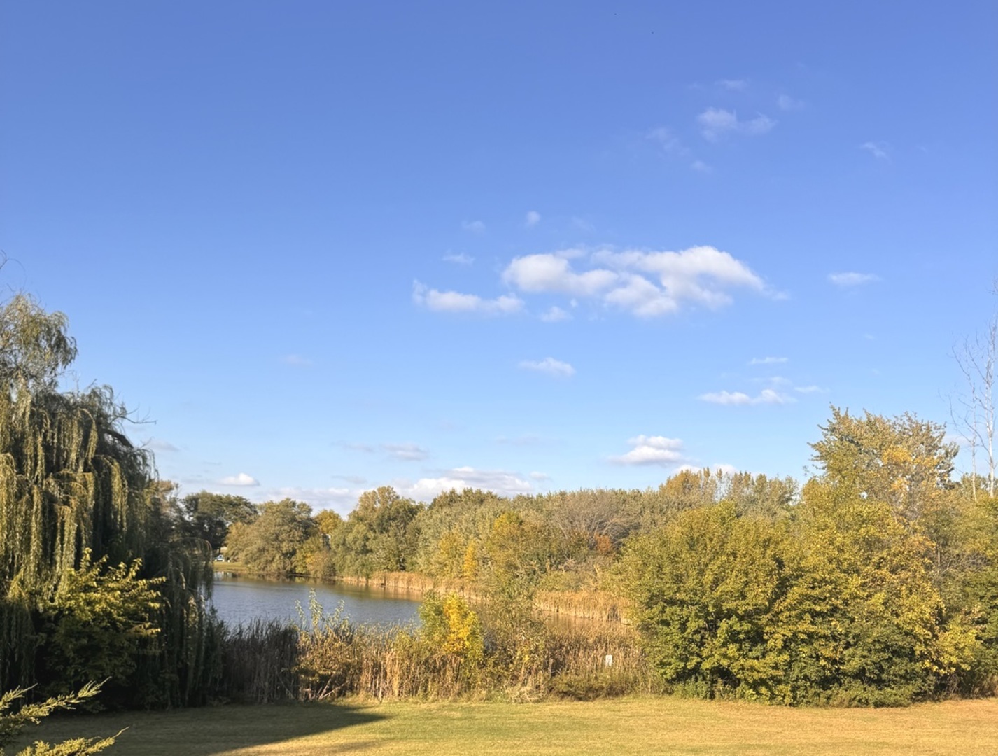 502 Redondo Drive #502, Downers Grove, IL 60516