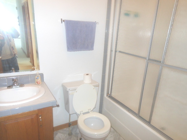 65 Crocus Lane, Matteson, IL 60443