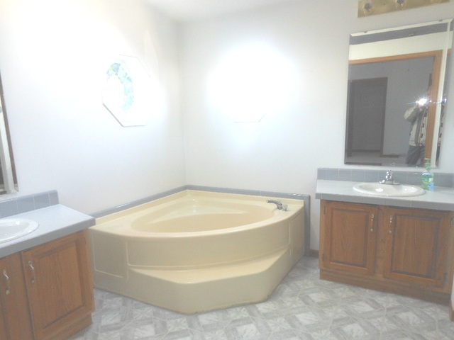 65 Crocus Lane, Matteson, IL 60443