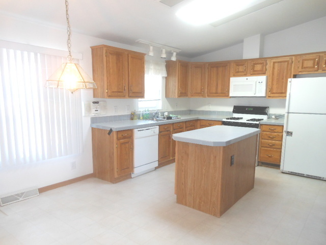 65 Crocus Lane, Matteson, IL 60443