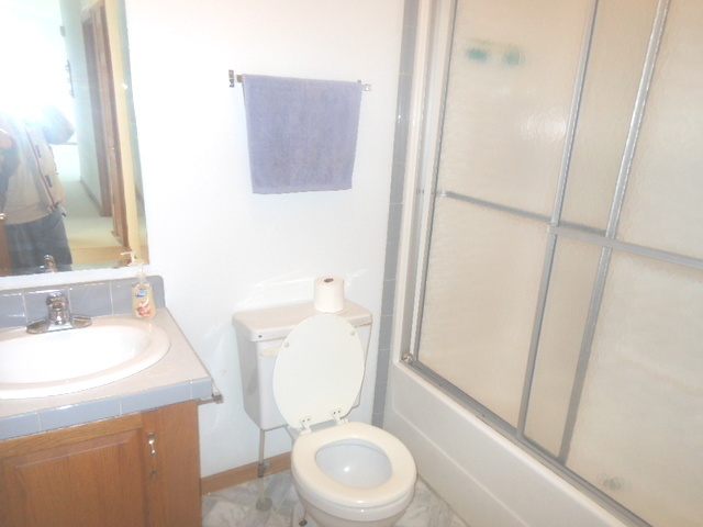 65 Crocus Lane, Matteson, IL 60443