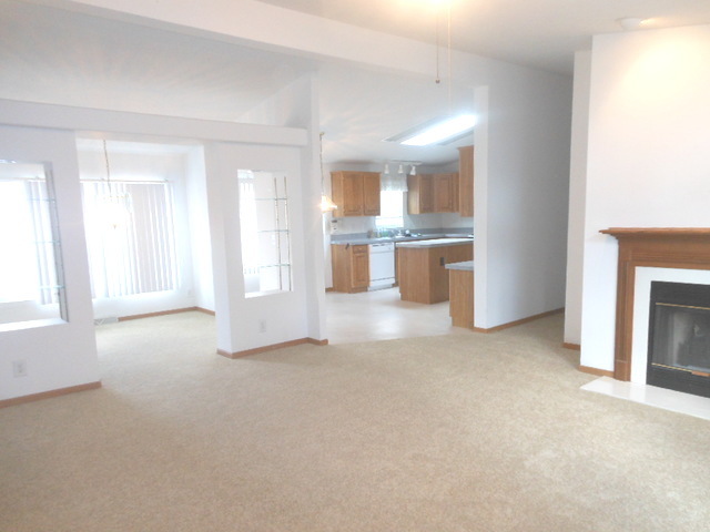 65 Crocus Lane, Matteson, IL 60443