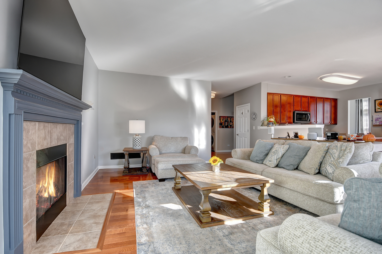 25758 S Basswood Road, Channahon, IL 60410