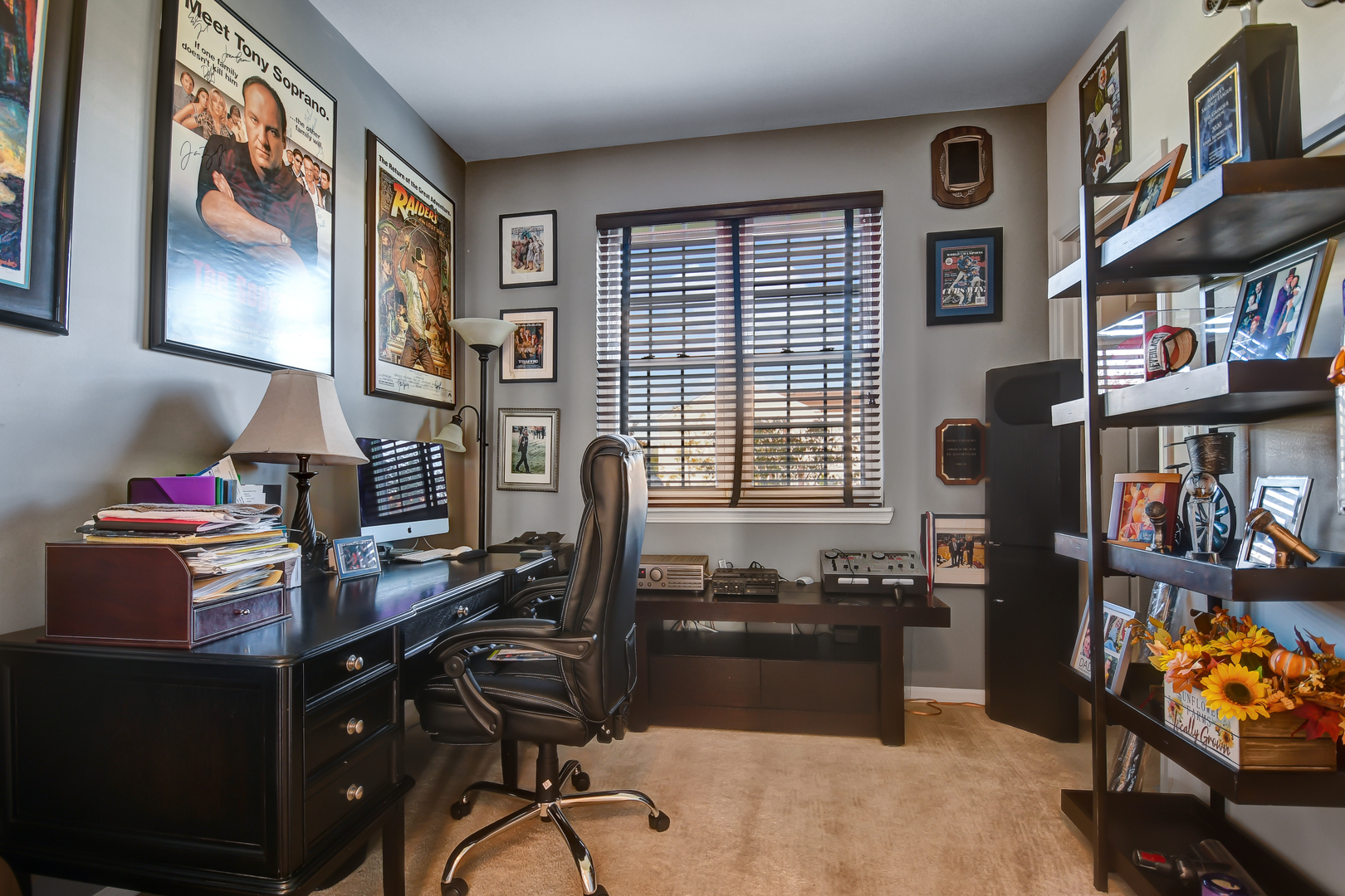 25758 S Basswood Road, Channahon, IL 60410