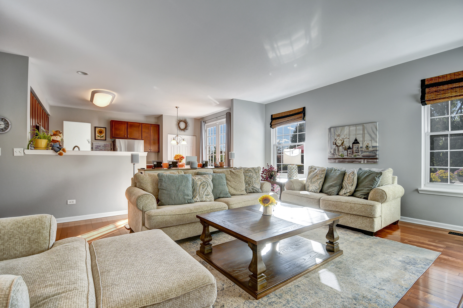 25758 S Basswood Road, Channahon, IL 60410