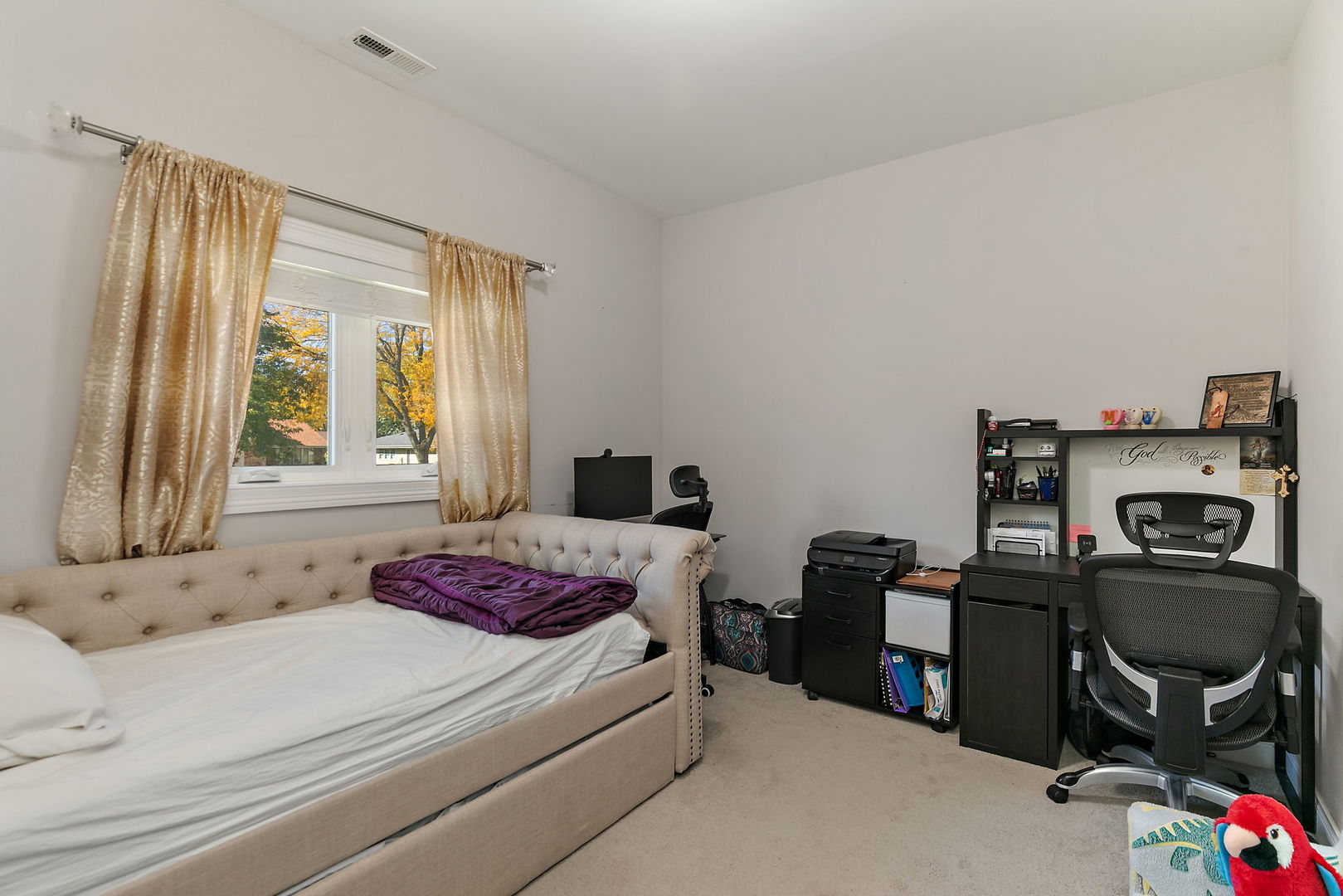 227 S walnut Lane, Schaumburg, IL 60193