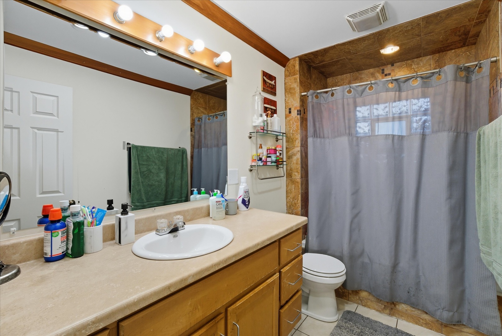 3 Oakview Court, Woodridge, IL 60517