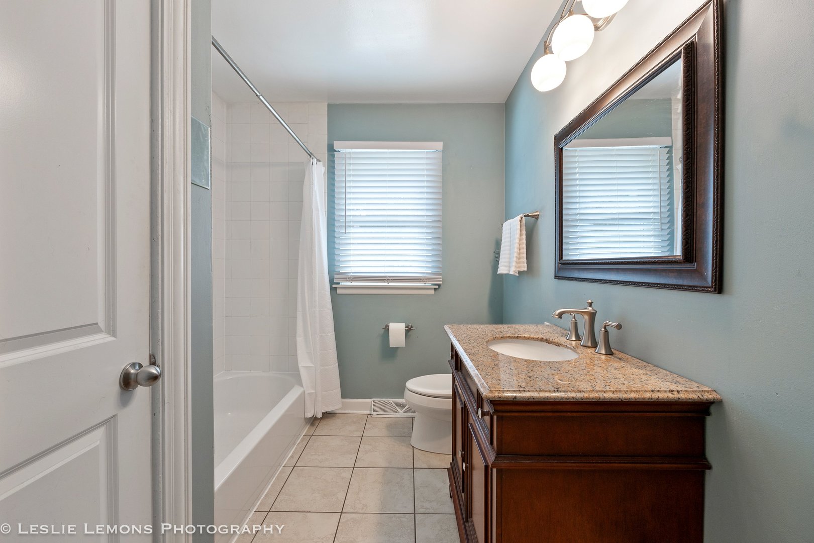 132 Robin Hill Drive, Naperville, IL 60540