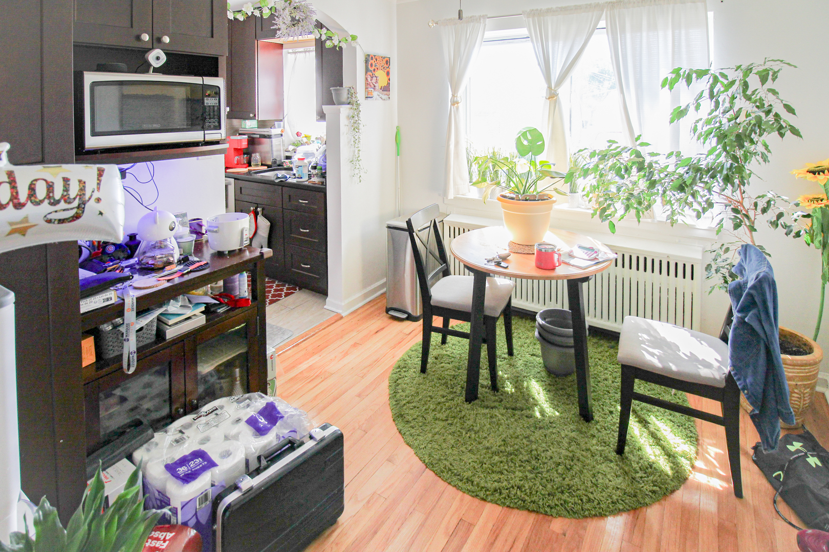 6669 W Devon Avenue #1E, Chicago, IL 60631