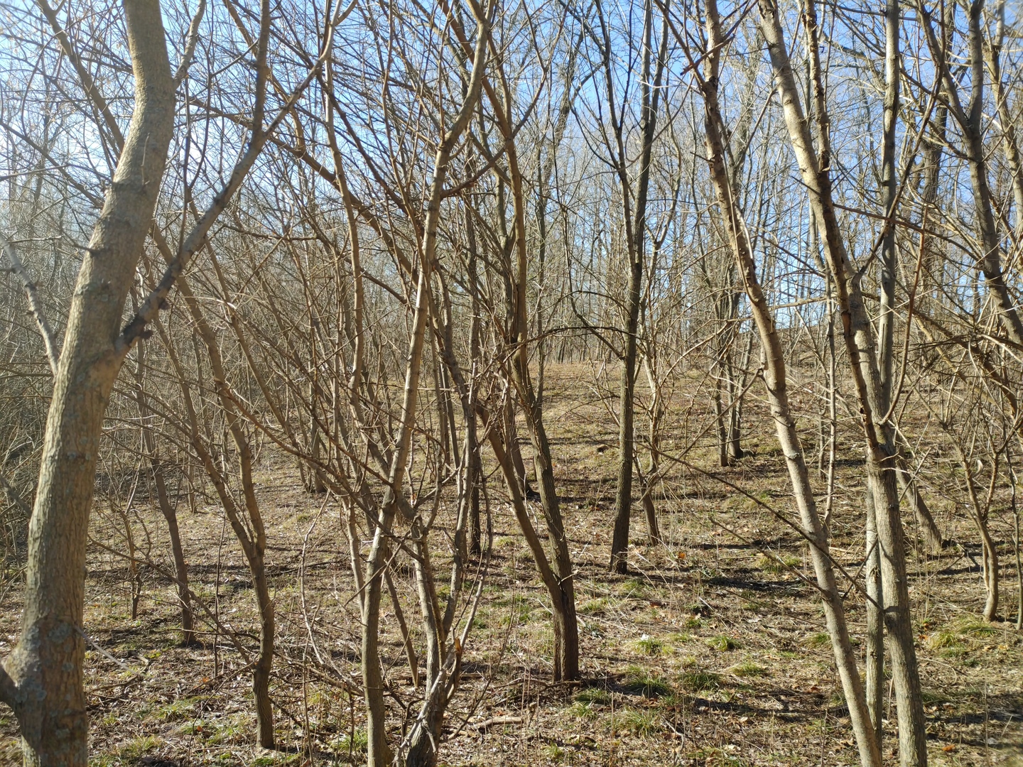 2020 E Lake Shore Drive, Twin Lakes, WI 53181