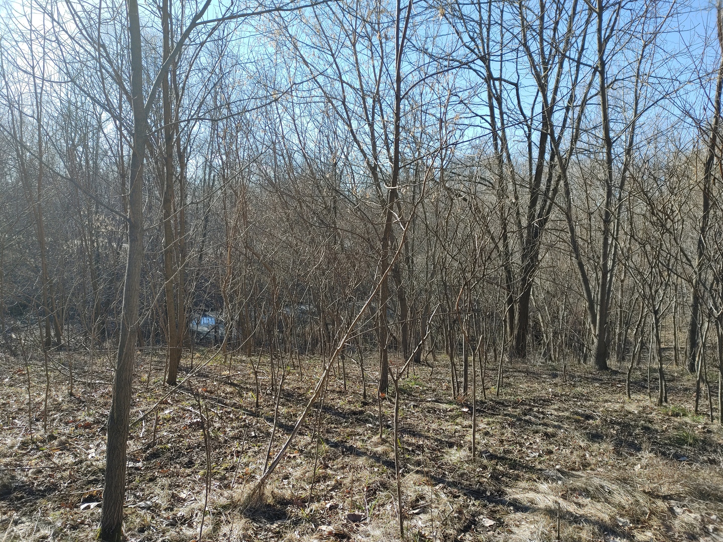 2020 E Lake Shore Drive, Twin Lakes, WI 53181