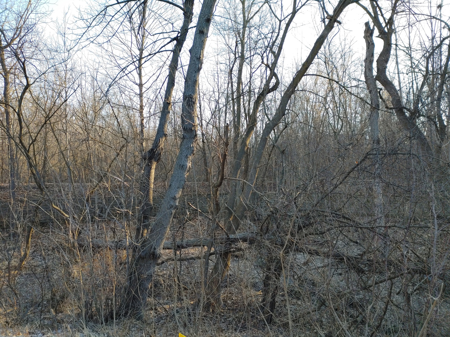 2020 E Lake Shore Drive, Twin Lakes, WI 53181