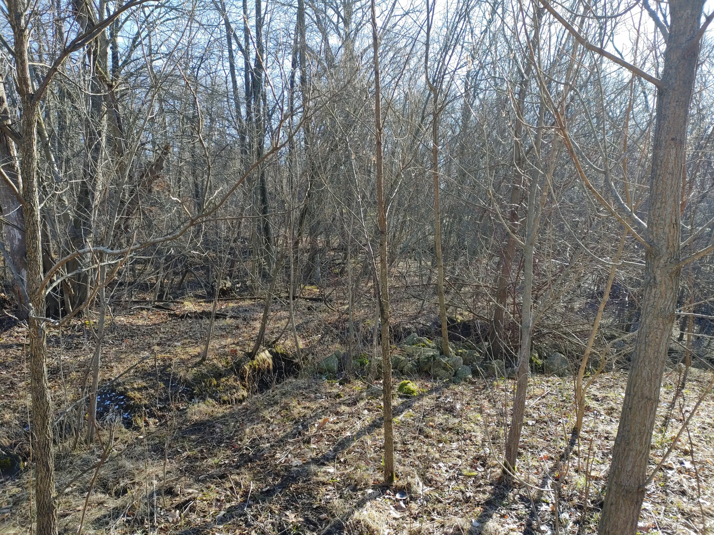 2020 E Lake Shore Drive, Twin Lakes, WI 53181