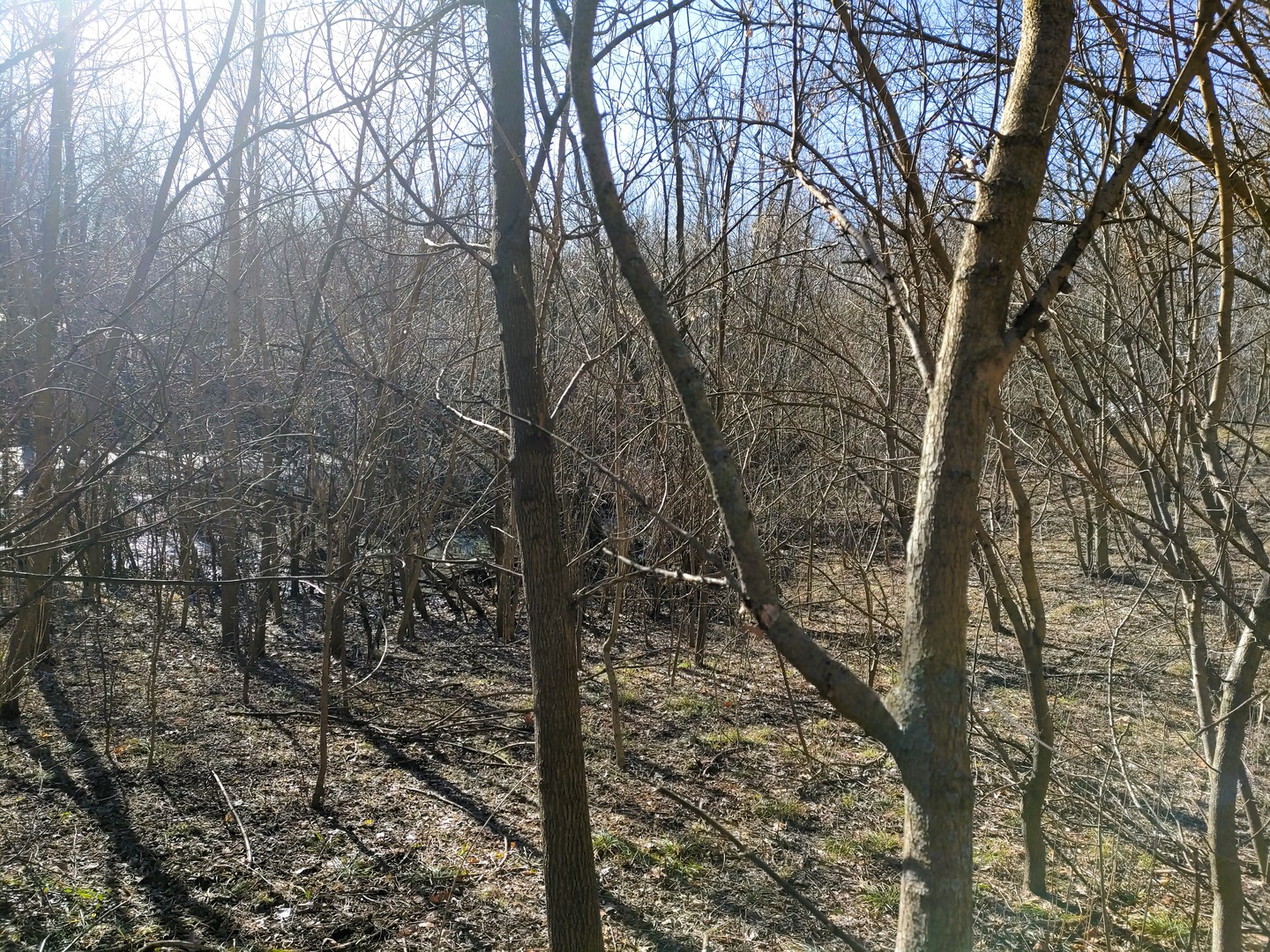 2020 E Lake Shore Drive, Twin Lakes, WI 53181