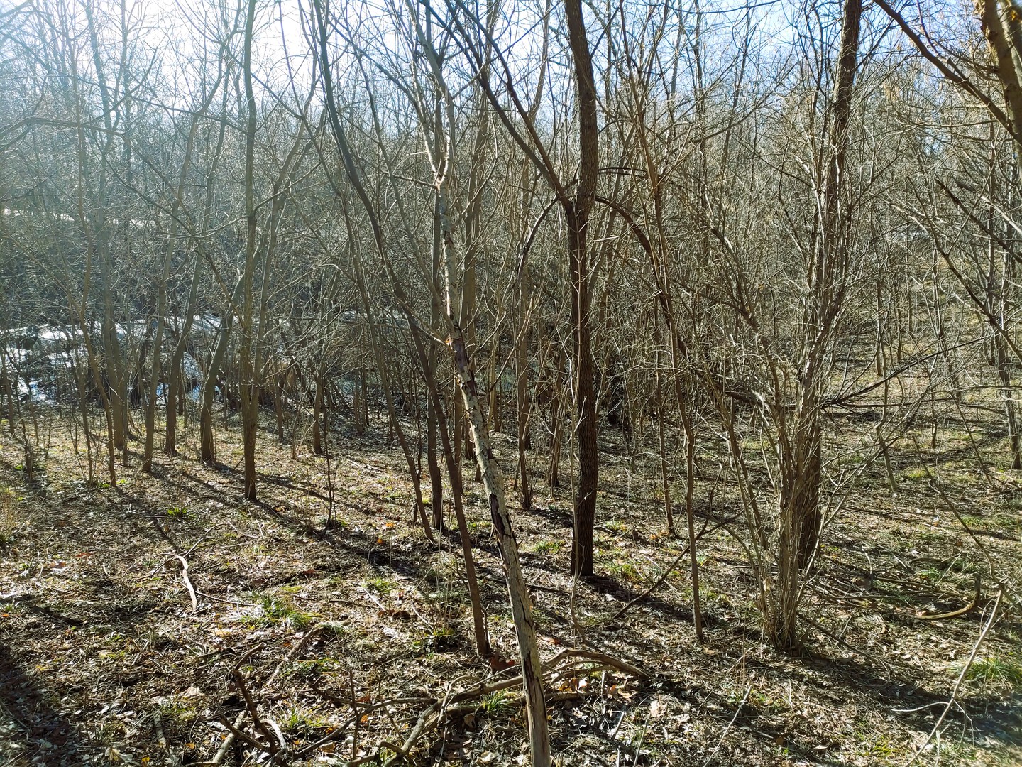 2020 E Lake Shore Drive, Twin Lakes, WI 53181