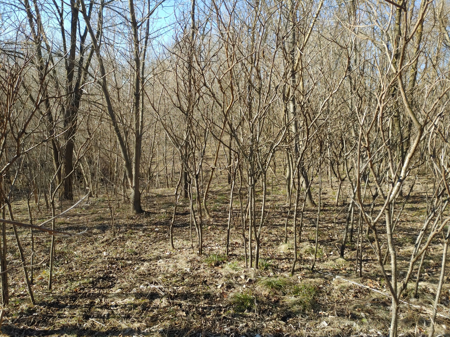 2020 E Lake Shore Drive, Twin Lakes, WI 53181