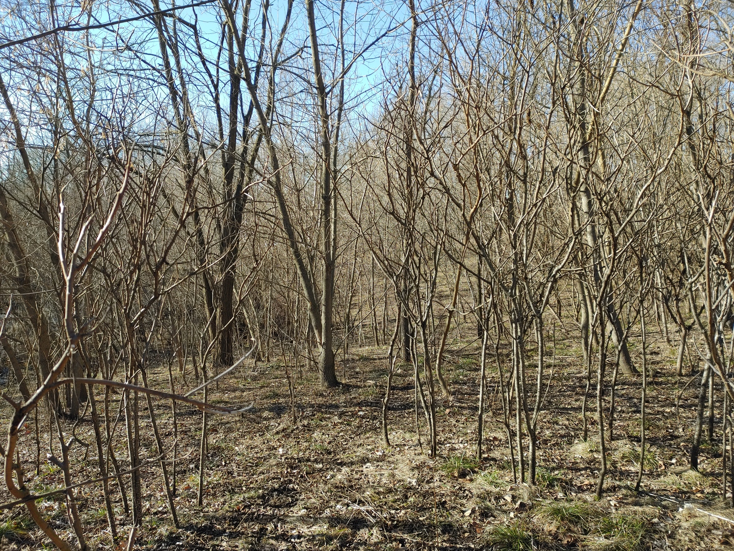 2020 E Lake Shore Drive, Twin Lakes, WI 53181