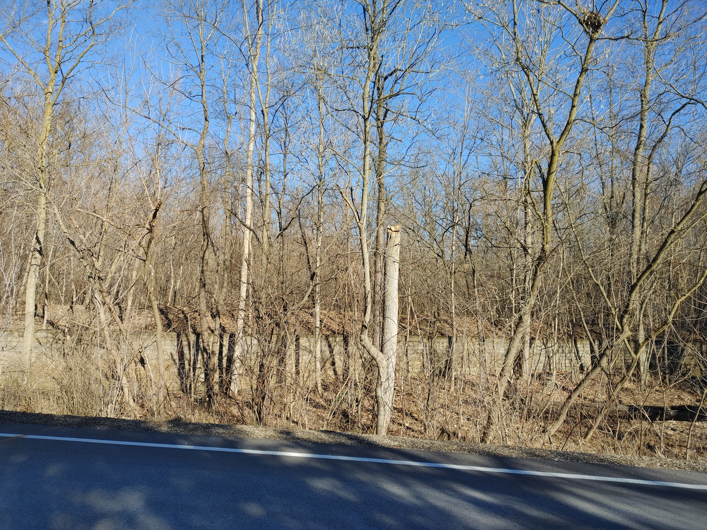 2020 E Lake Shore Drive, Twin Lakes, WI 53181