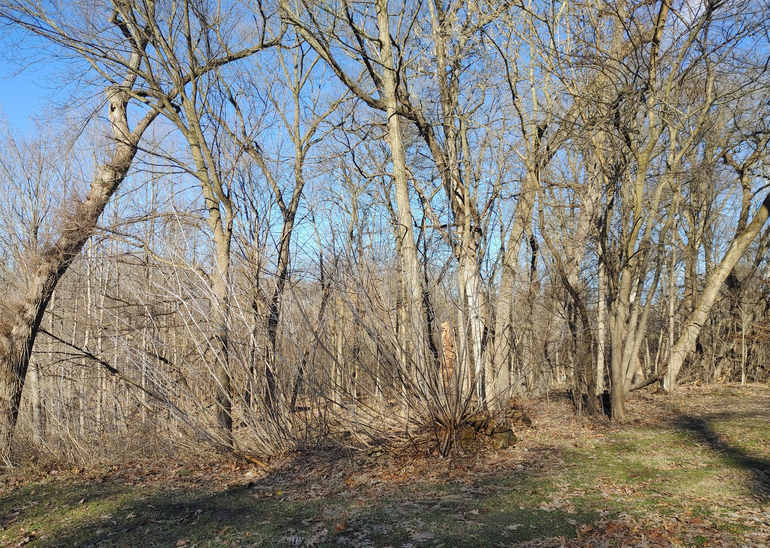 2020 E Lake Shore Drive, Twin Lakes, WI 53181