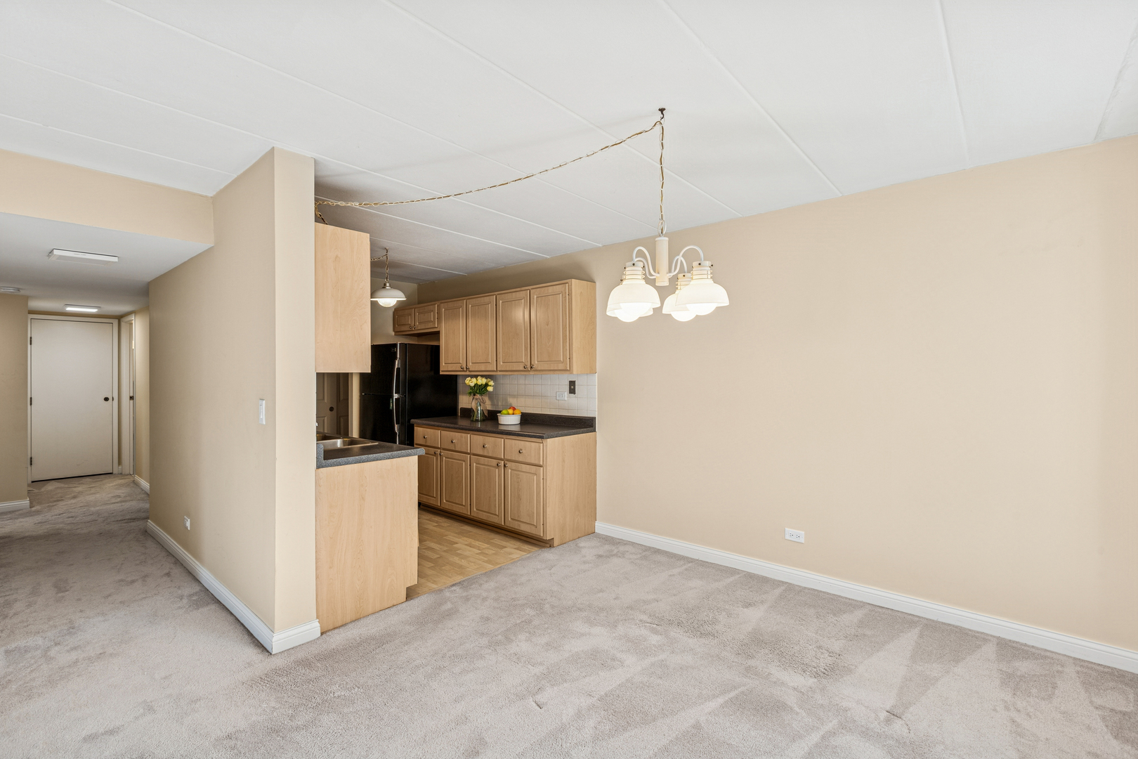 5S040 Pebblewood Lane #406E, Naperville, IL 60563