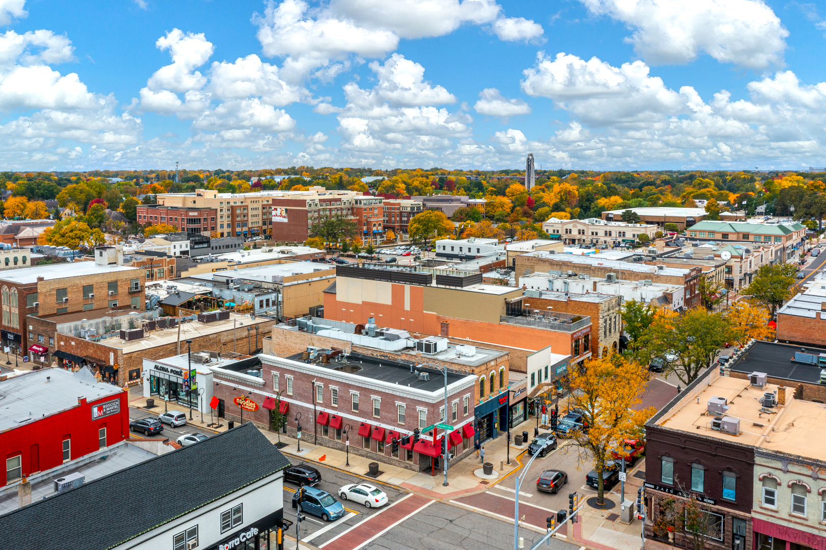 1056 Devonshire Avenue, Naperville, IL 60540