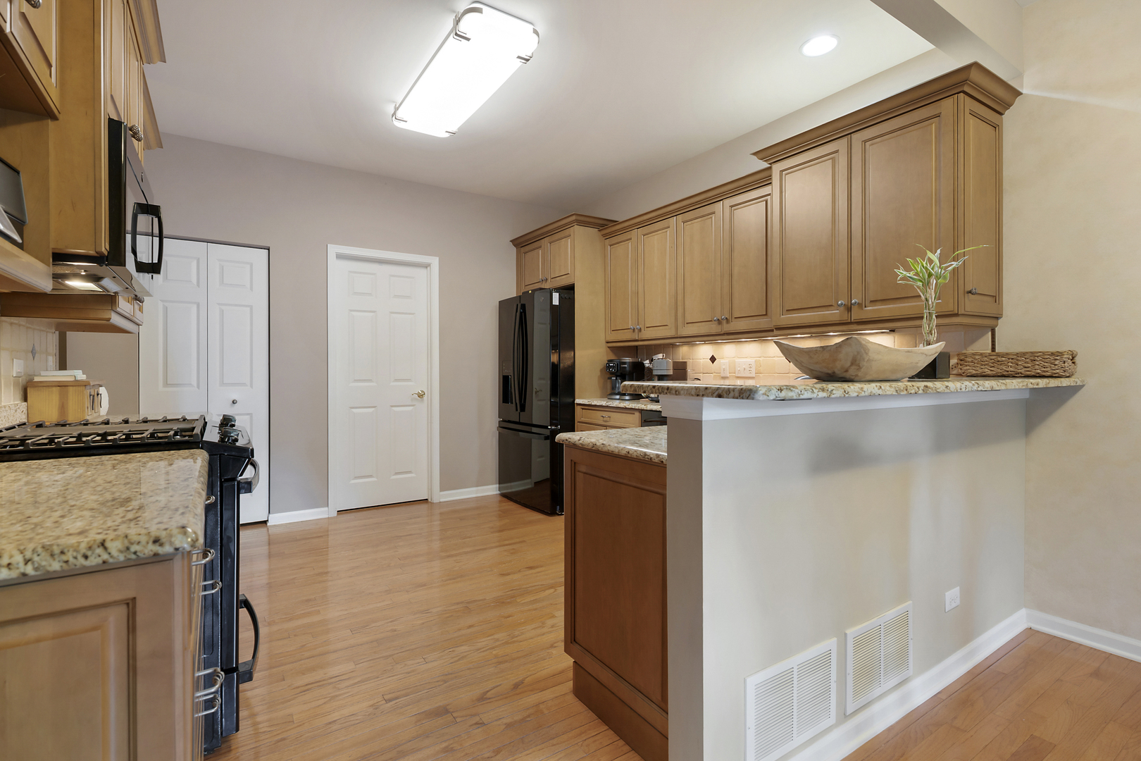 3891 WILLOW VIEW Drive #3891, Lake In The Hills, IL 60156