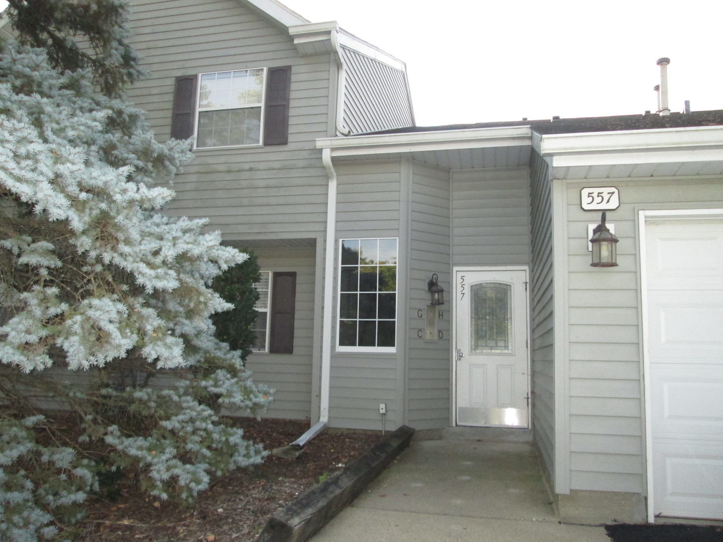 557 E Shagbark Lane #H, Streamwood, IL 60107
