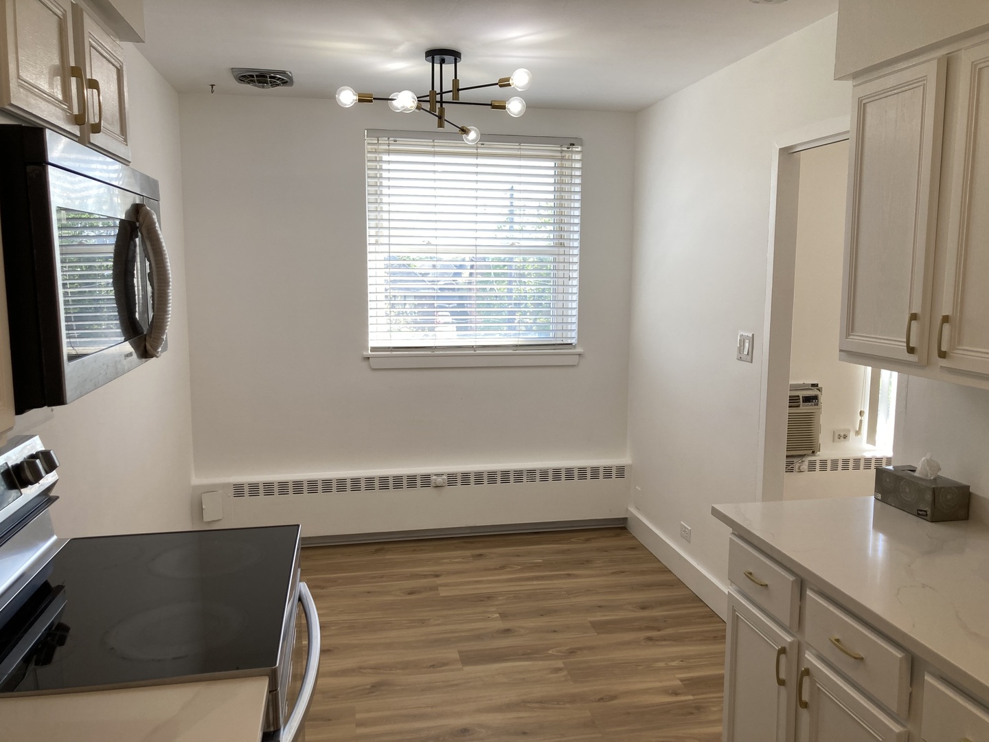 1301 W Touhy Avenue #315, Park Ridge, IL 60068