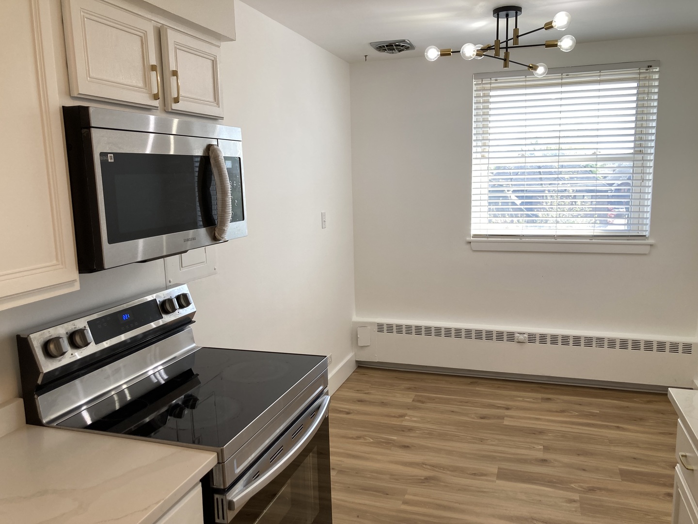 1301 W Touhy Avenue #315, Park Ridge, IL 60068