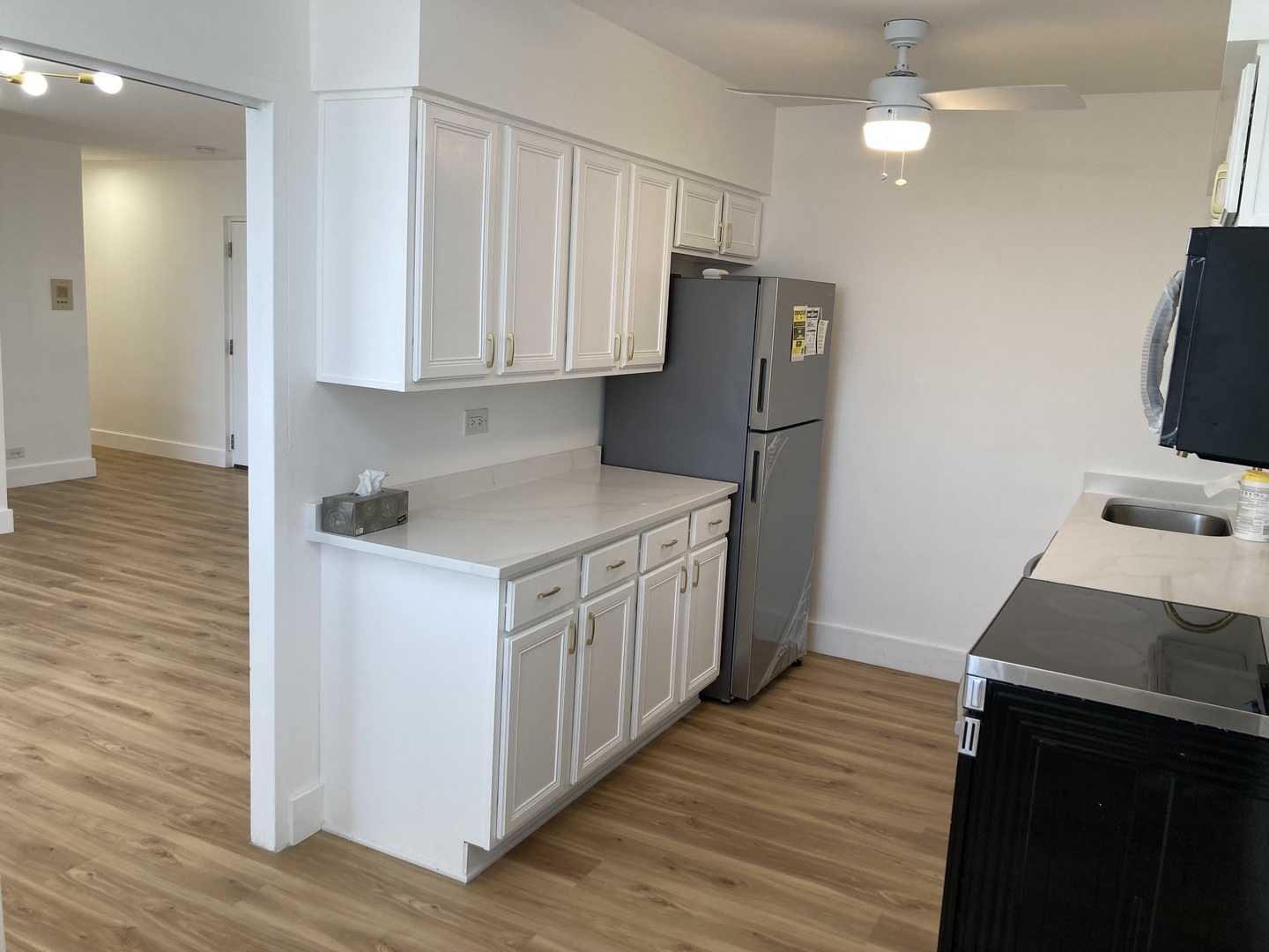1301 W Touhy Avenue #315, Park Ridge, IL 60068