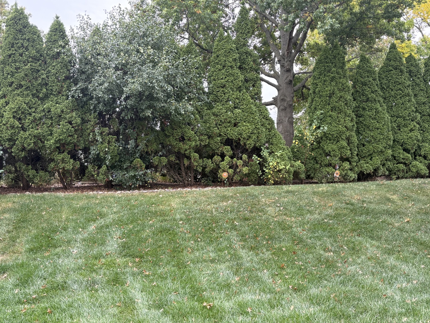 13855 Secretariat Lane, Orland Park, IL 60467