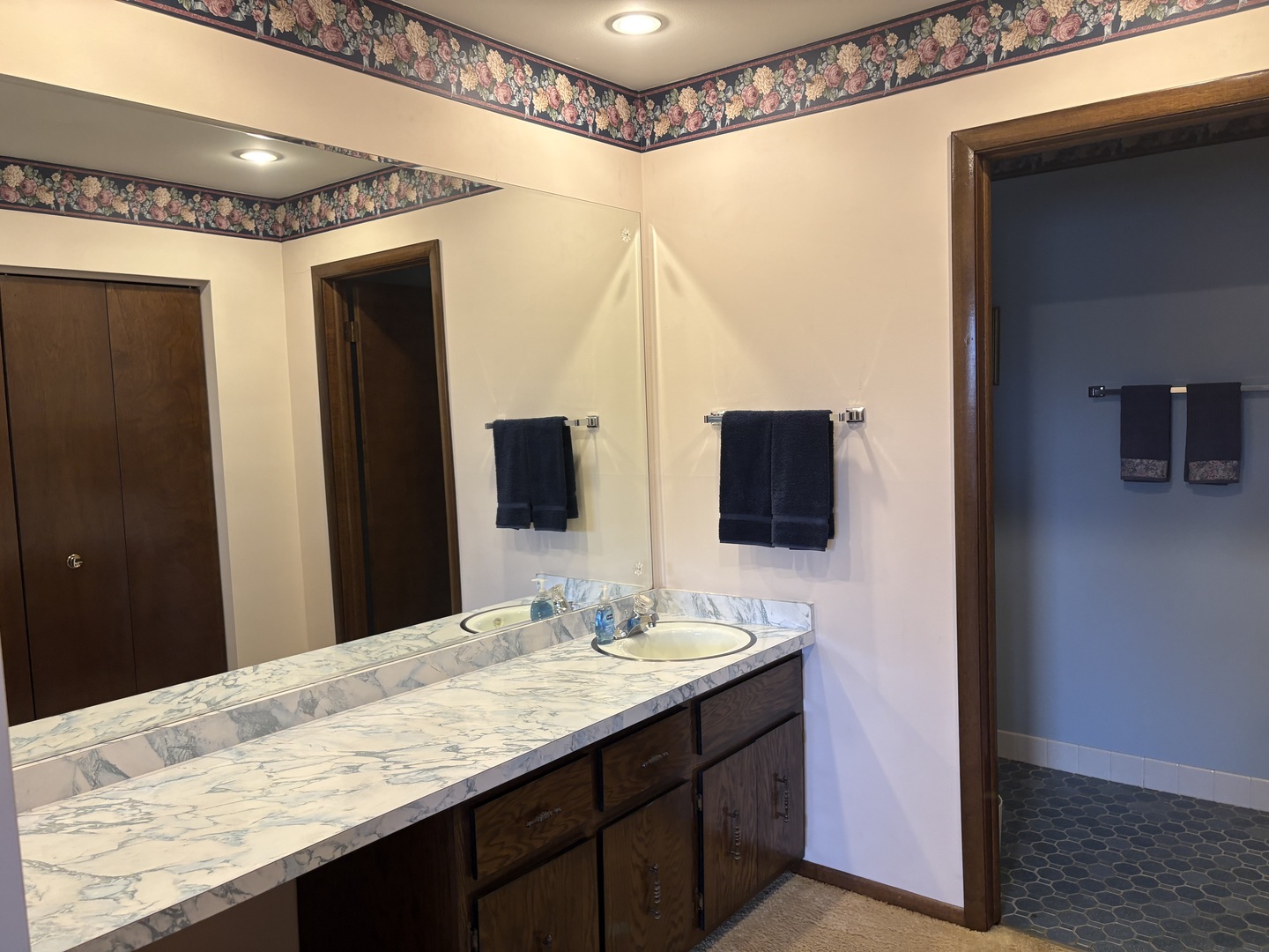 13855 Secretariat Lane, Orland Park, IL 60467