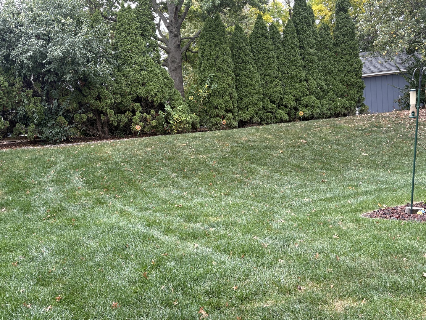 13855 Secretariat Lane, Orland Park, IL 60467