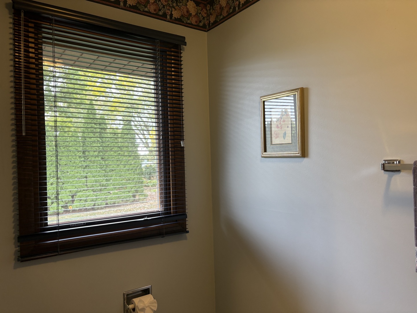 13855 Secretariat Lane, Orland Park, IL 60467