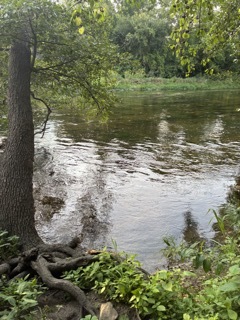 22416 S Kings Court, Shorewood, IL 60404