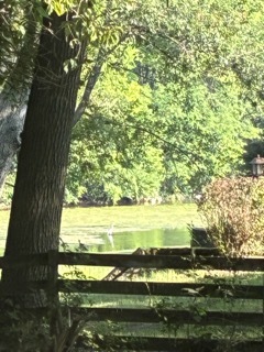 22416 S Kings Court, Shorewood, IL 60404