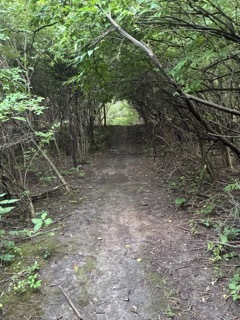 22416 S Kings Court, Shorewood, IL 60404