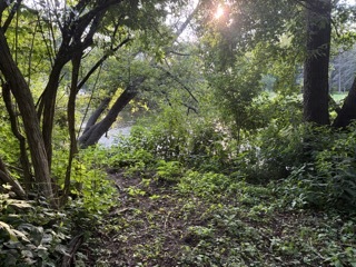 22416 S Kings Court, Shorewood, IL 60404