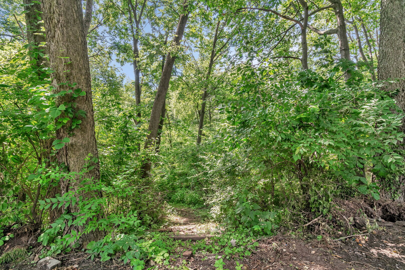 22416 S Kings Court, Shorewood, IL 60404