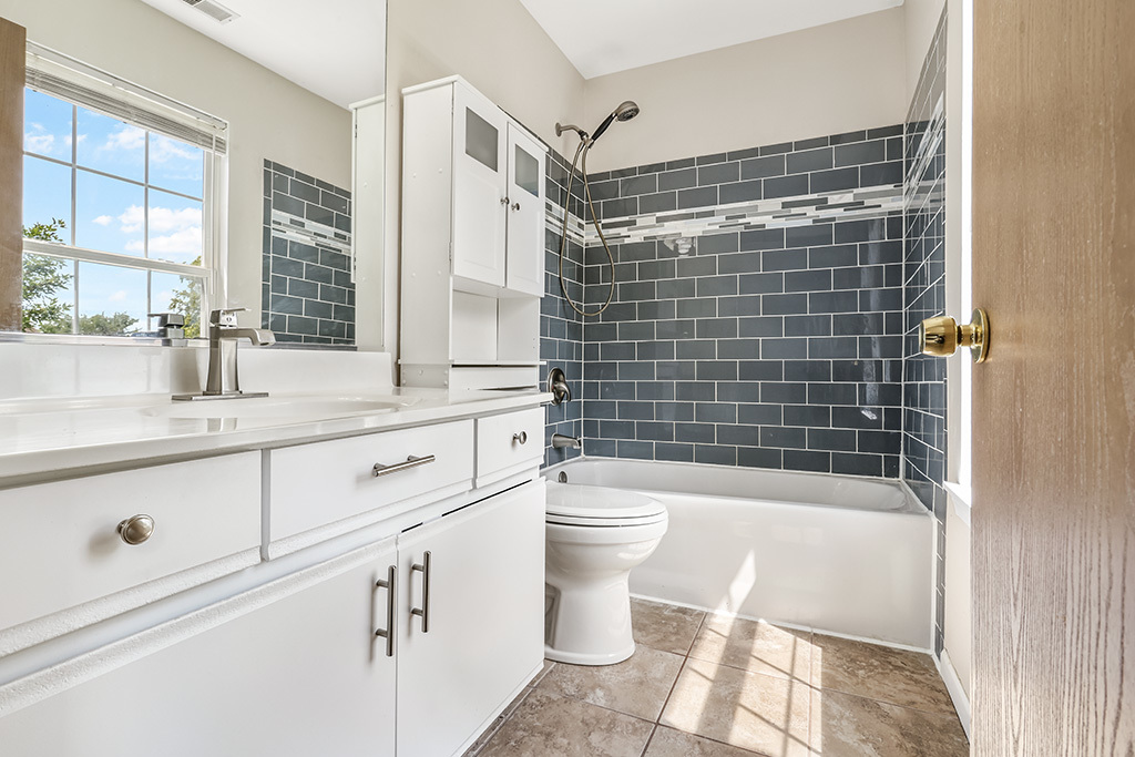 20941 W Ardmore Circle, Plainfield, IL 60544