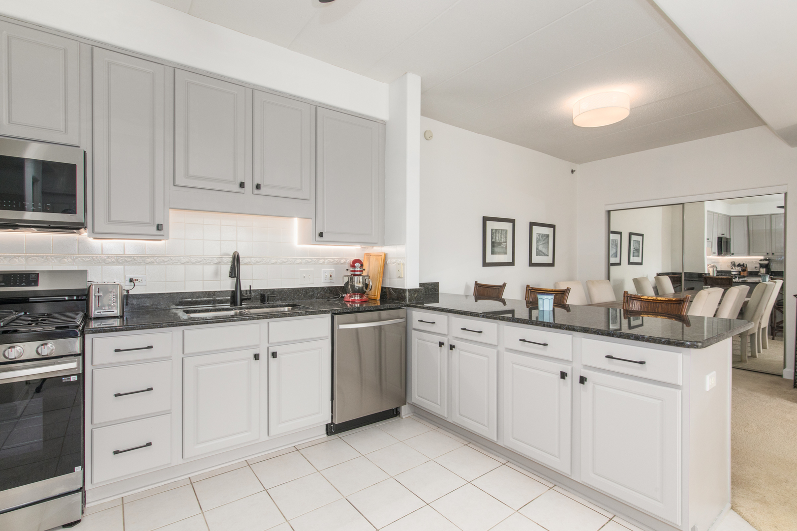 1705 Pavilion Way #303, Park Ridge, IL 60068