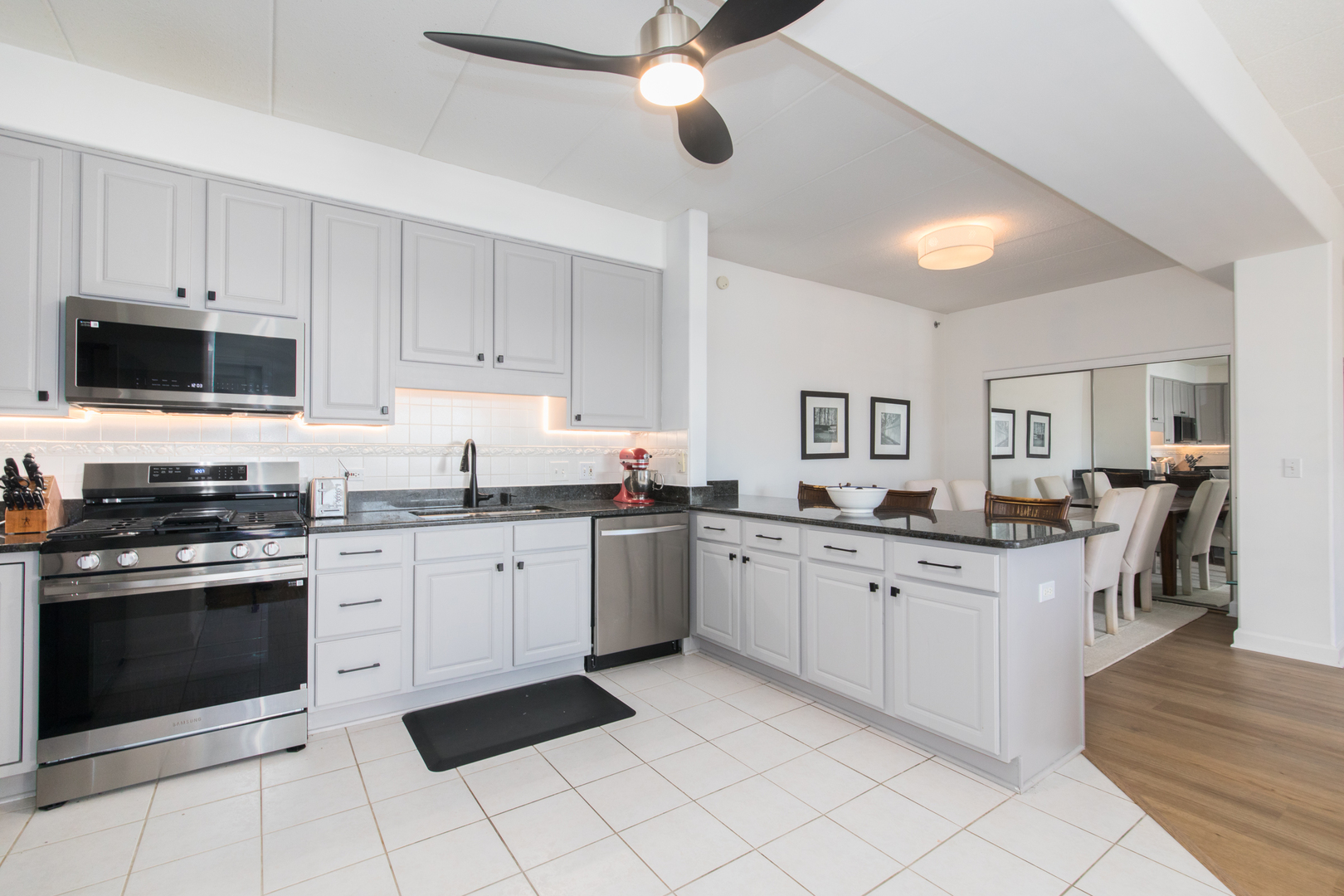 1705 Pavilion Way #303, Park Ridge, IL 60068