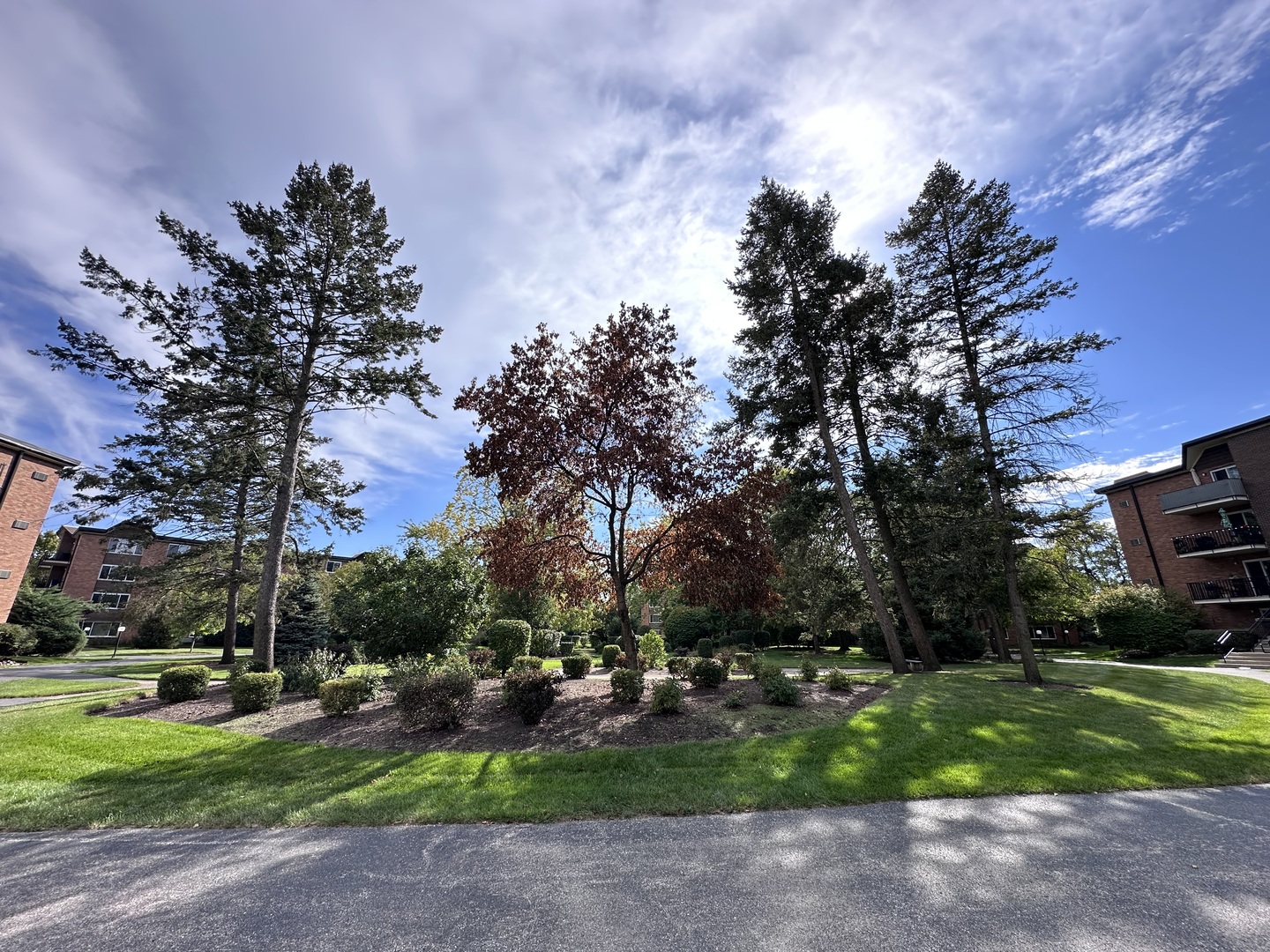 1217 S Old Wilke Road #110, Arlington Heights, IL 60005