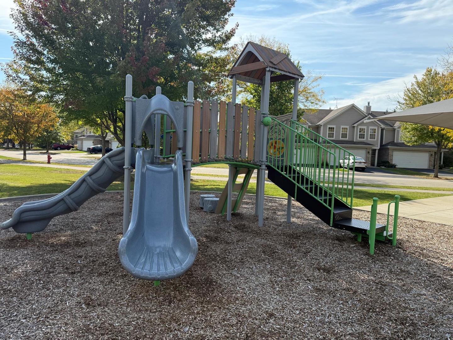 1537 Chatfield Court #1537, Roselle, IL 60172