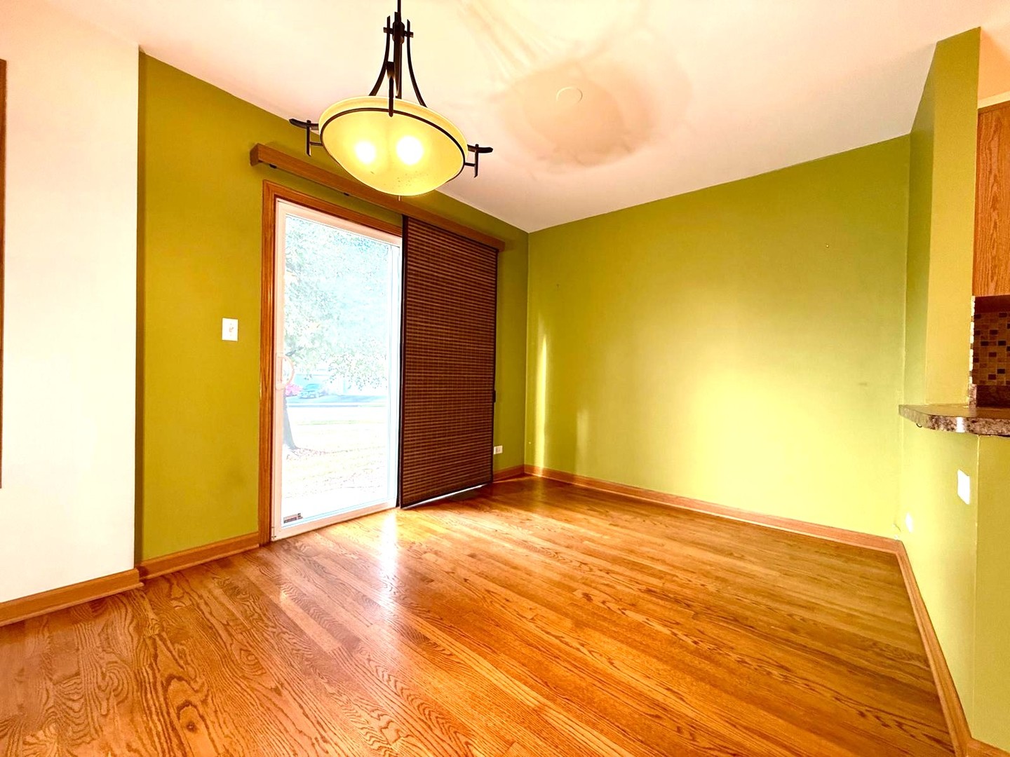 1537 Chatfield Court #1537, Roselle, IL 60172