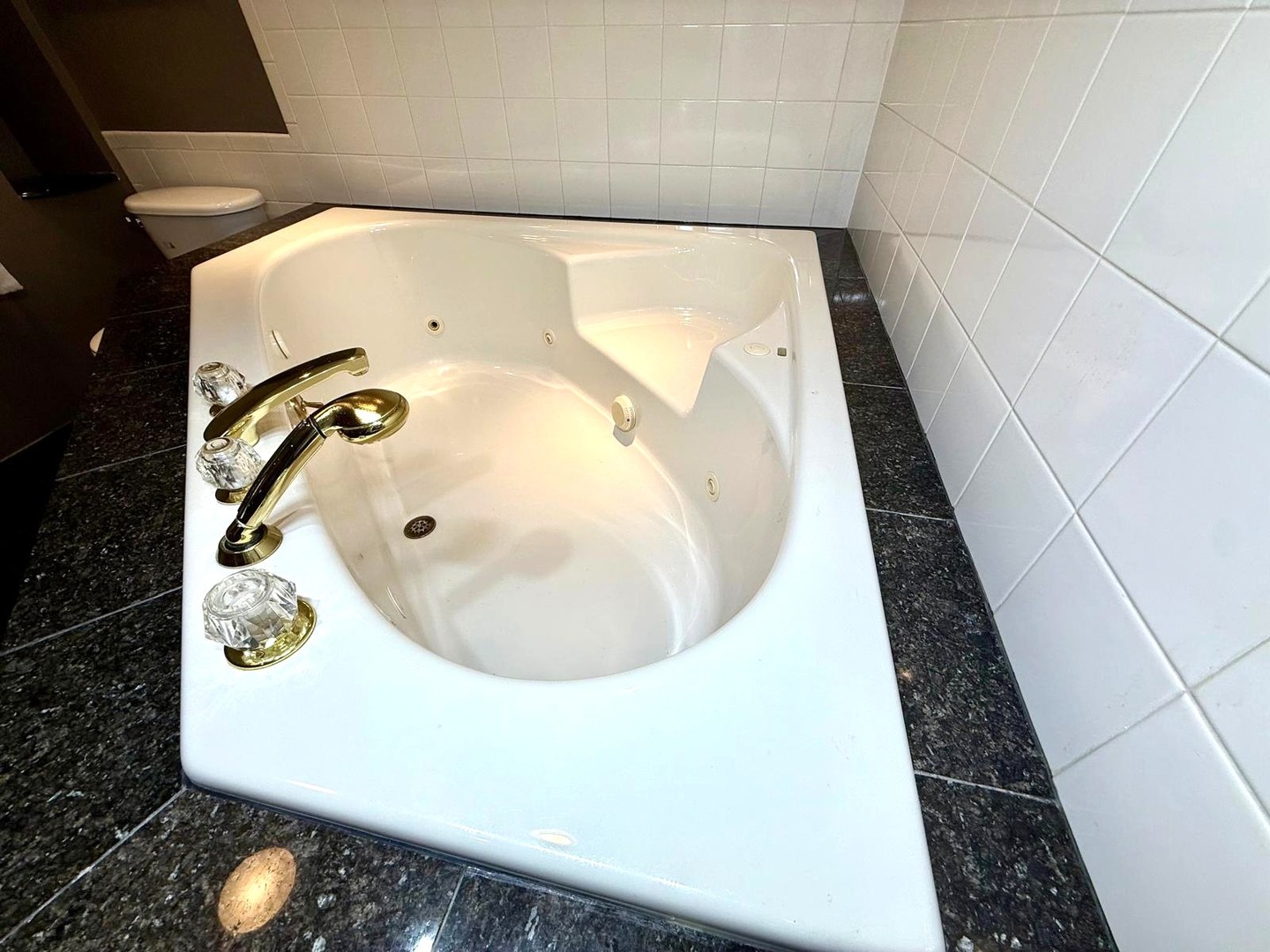 1537 Chatfield Court #1537, Roselle, IL 60172