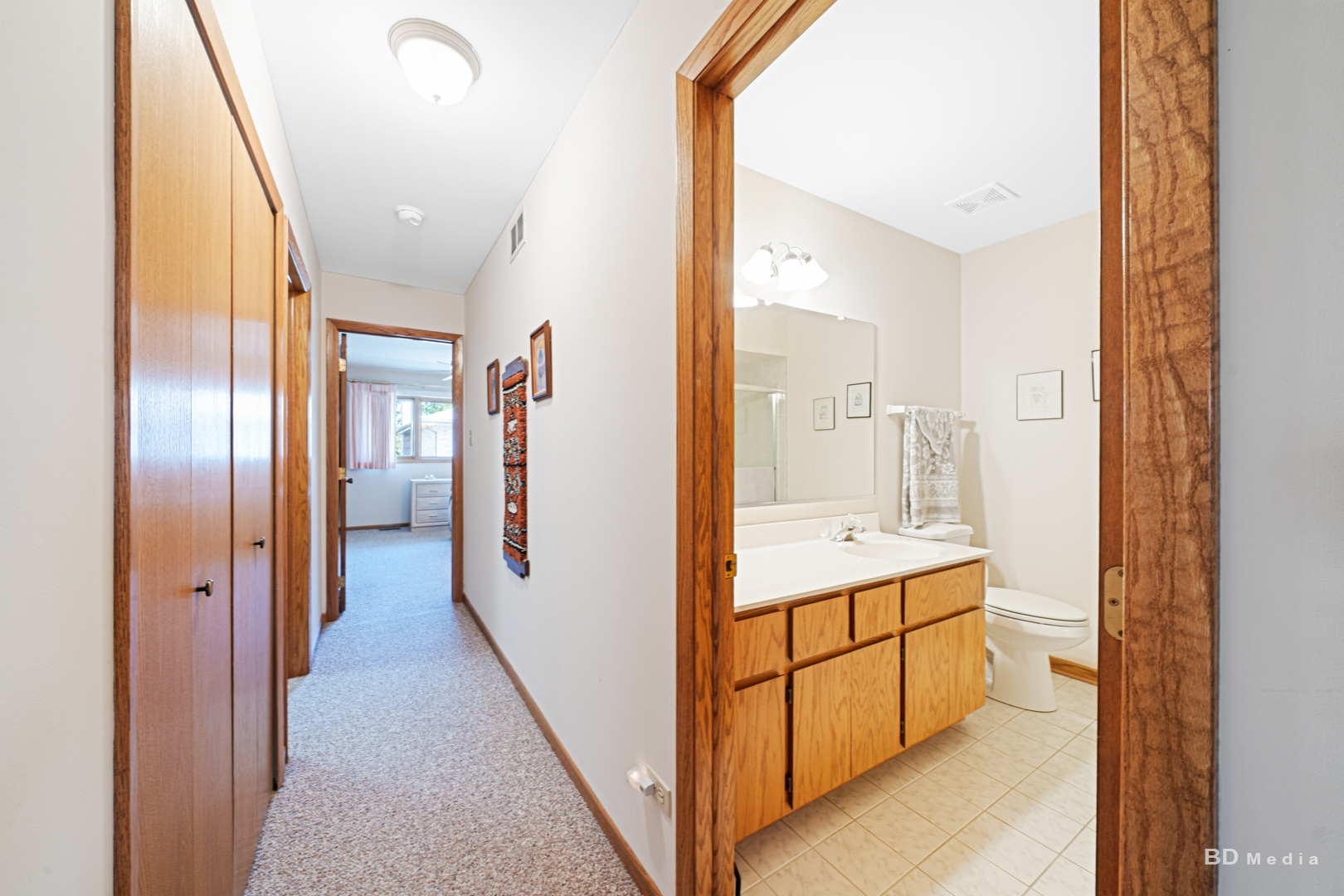 11101 Louetta Lane, Orland Park, IL 60467