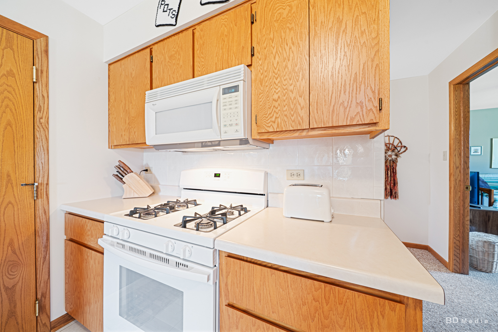 11101 Louetta Lane, Orland Park, IL 60467