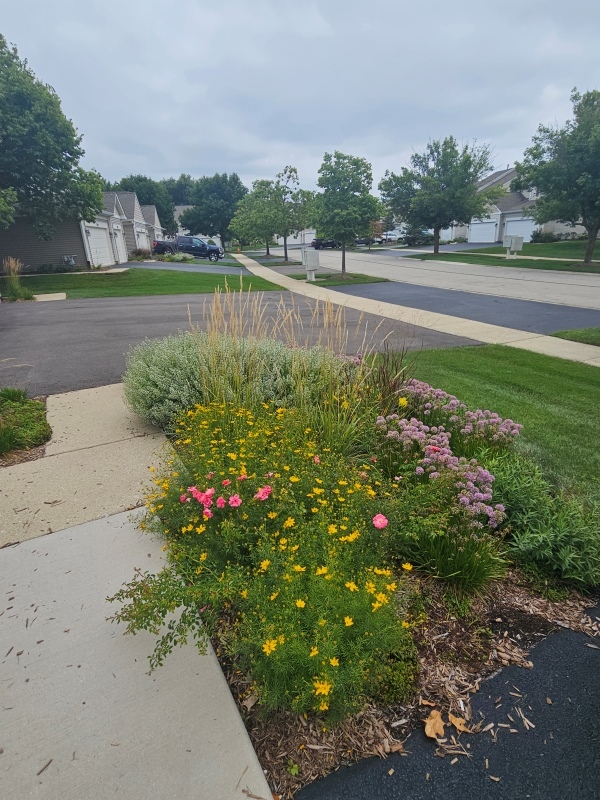 2944 White Thorn Circle, Naperville, IL 60564